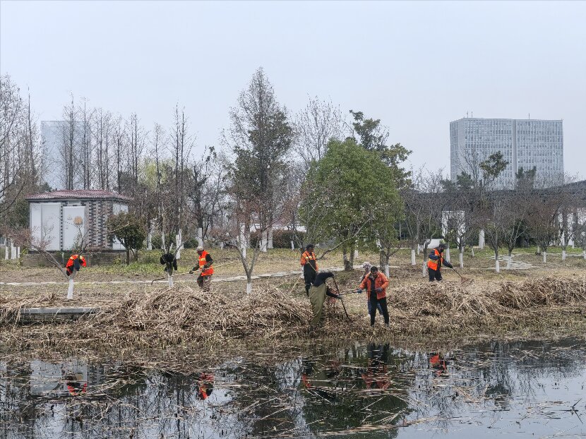 上網2